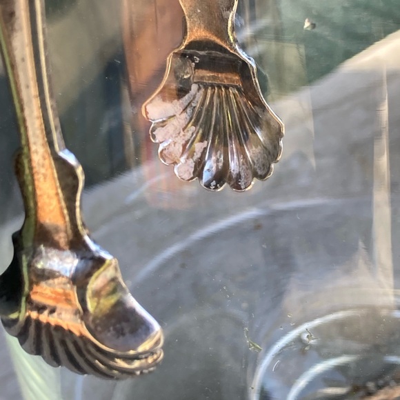 Vintage | English Sugar Tongs with Shell Design - Picture 6 of 13